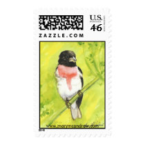 Rose Breasted Grosbeak - Song Bird stamp
