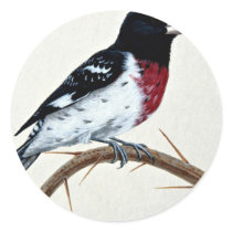 Rose-breasted grosbeak round stickers