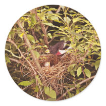 Rose-Breasted Grosbeak Sticker