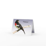 Rose-breasted Grosbeak Thank You Cards