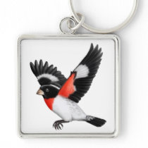 Rose Breasted Grosbeak Wild Bird Keychain