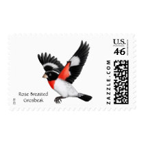 Rose Breasted Grosbeak Wild Bird Postage