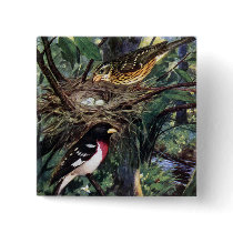 Rose-Breasted Grosbeaks and Their Nest of Eggs Pinback Buttons