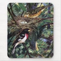 Rose-Breasted Grosbeaks and Their Nest of Eggs Mousepad