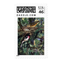 Rose-Breasted Grosbeaks and Their Nest of Eggs Postage Stamps