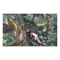 Rose-Breasted Grosbeaks and Their Nest of Eggs Rectangle Stickers