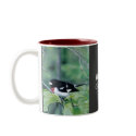 Rose Breasted Gross Beak Coffee Cup mugs by Russ45 Rose Breasted Gross Beak Coffee Cup mugs