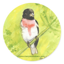 Rose Breaster Grosbeak - Bird Stickers