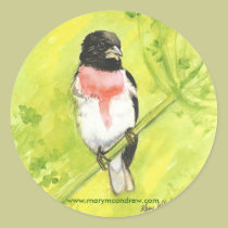 Rose Breaster Grosbeak - Bird Stickers stickers