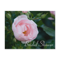 Rose :: Bridal Shower Invitation Postcard