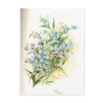 rose brier postcard