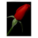 Rose Bud Card