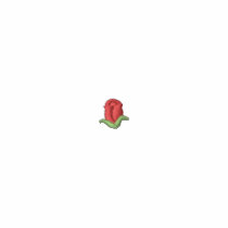 Rose Bud embroidered shirts