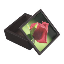 Rose Bud planetjillgiftbox