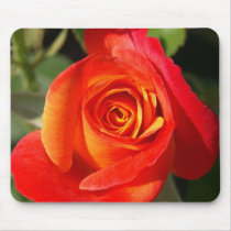 Rose Bud MousePad by dawnlopez331 Rose Bud MousePad