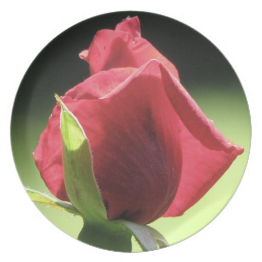 Rose Bud Party Plates