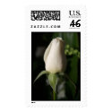 Rose Bud postage