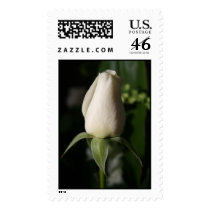 Rose Bud Postage