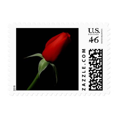 Rose Bud Postage Stamp
