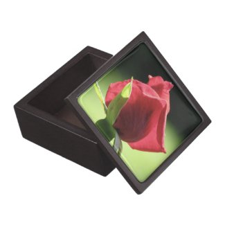 Rose Bud planetjillgiftbox