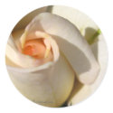 Rose bud  Wedding Envelope Seal stickers