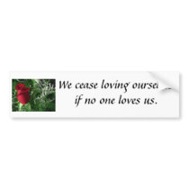 rose bumper stickers
