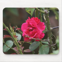 Rose bush mousepads by _Prki_ Rose bush mousepads