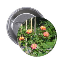 Rose bush pinback buttons
