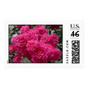 Rose Bush postage