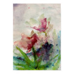 rose butterflies posters