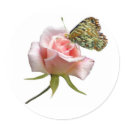 Rose Butterfly stickers by catsclips Rose Butterfly stickers
