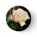Rose Button or Badge button