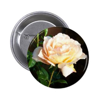 Rose Button or Badge