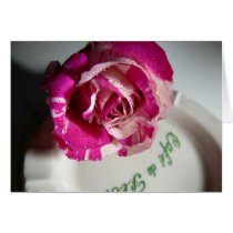 rose cafe de flore menthe cards by metrogirl_paris rose cafe de flore menthe cards