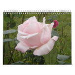 Rose Calendars