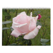 Rose Calendars