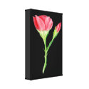 Rose canvas prints