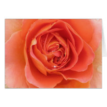 Rose Card by ggbythebay Rose Card