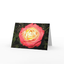 ROSE cards