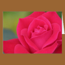 Rose cards