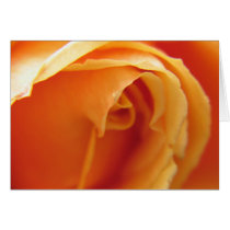 Rose cards