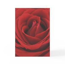 rose cards by megan2478 rose cards