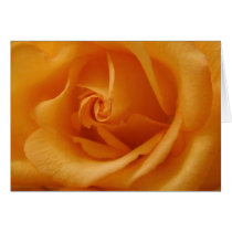 Rose Cards