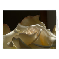 Rose cards by louwhoz Rose cards