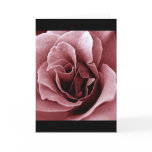 Rose Card