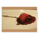Rose cards