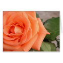 Rose cards