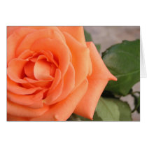 Rose cards