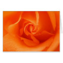 rose cards