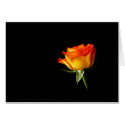Rose cards by visionaryplaces Rose cards